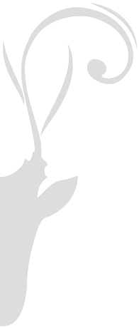 trachtenlady-halberhirsch
